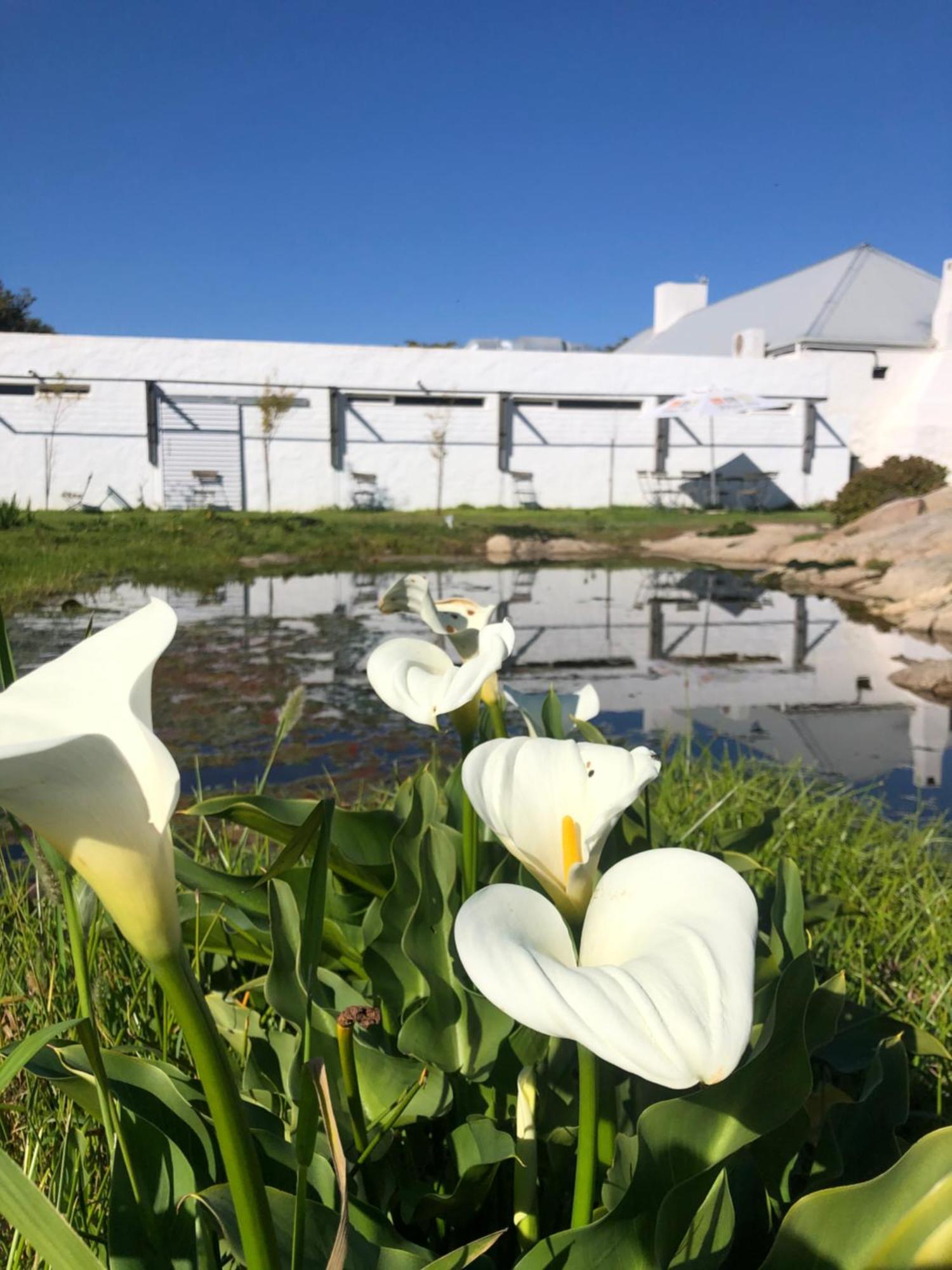 Bed and Breakfast !Khwa Ttu Swartwater Exteriér fotografie