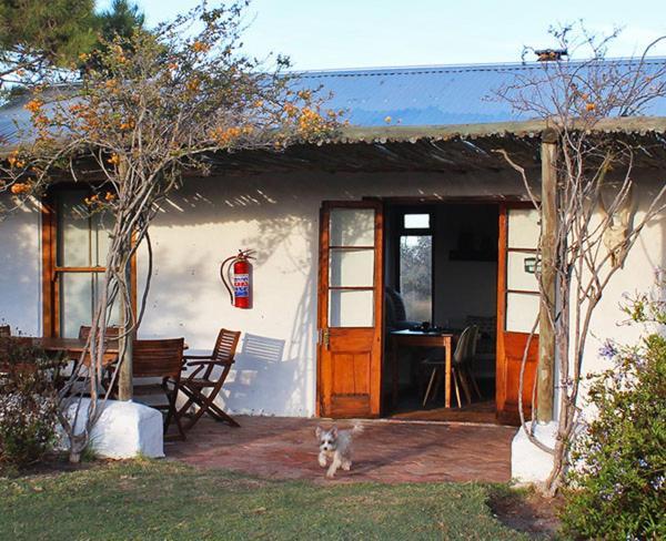 Bed and Breakfast !Khwa Ttu Swartwater Exteriér fotografie